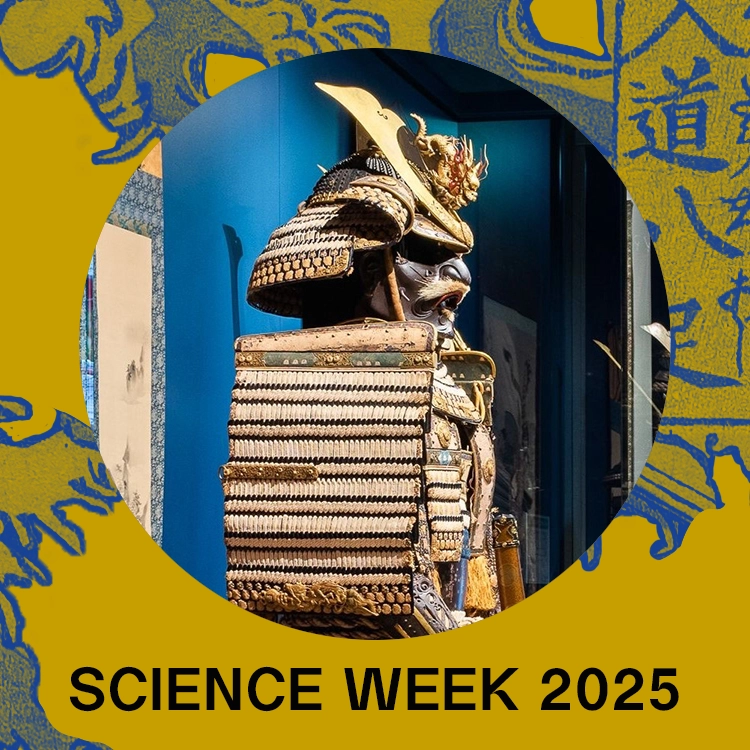 Science Week: Japanische Rüstungen
